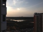 IMG_2164.jpg