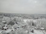 2018-12-18 Антон Шевченко. XXNlde4RFfw.jpg