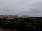 20190817_142506.jpg