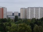 20190817_142529.jpg