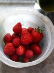 20190906_130037.jpg