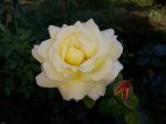 20200727_164108.jpg
