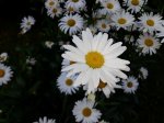 20200727_164414.jpg