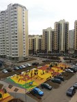 2015-03-24 ПБ. Вид из окна во двор. 03.jpg