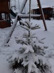 20201121_153109_обработано.jpg