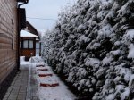 20201121_153417_обработано.jpg