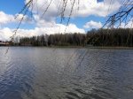 20210503_154655_обработано.jpg