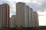 IMG_9399.JPG