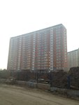 IMG_1520.jpg