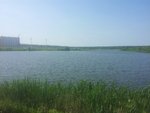 2015-06-14 Вид на ПБ с плотины на Мичуринце. В. Родин. НП vk.c.jpg