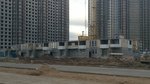 WP_20150531_001.jpg