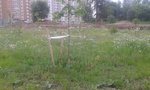 20150630_200713.jpg