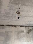 IMG_5552.JPG