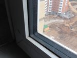 IMG_5576.JPG