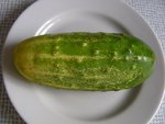 DSCN2379.jpg
