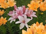 DSCN3429.JPG