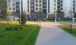 20150724_200145.jpg