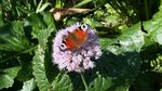 20150731_101007.jpg