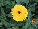 DSCN3530.JPG