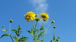 20150731_100844.jpg