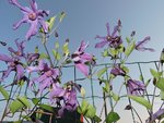 DSCN3525.JPG