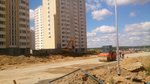 DSC_7894.JPG