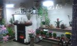 20150825_212103.jpg