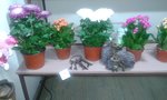 20150825_212324.jpg