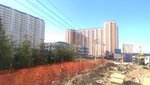 IMAG0504.jpg