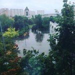 2015-09-05 Прощание с летом. vk.com_moeperedelkino.jpg