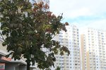 IMG_0571.jpg