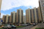 IMG_0576.jpg