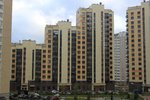IMG_0587.jpg
