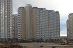 IMG_0595.jpg