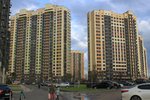 IMG_0602.jpg