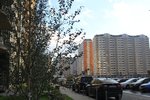 IMG_0659.jpg