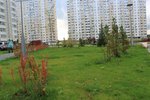 IMG_0663.jpg