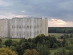 13.JPG