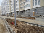 DSC03937.JPG
