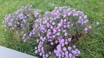 20151003_091731.jpg