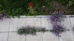 20151003_093243.jpg