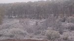 DSC_1629.jpg