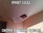 c870c52596e1296b57777b1f1606577e.jpg