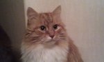IMAG0013.jpg