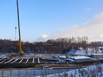 2016-01-09 Ст.Минская. НТ Kirill Limping. 13.jpg
