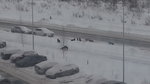 20160120_134205.jpg