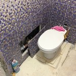 image.jpeg