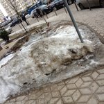 Файл 08.02.16, 10 14 09.jpeg