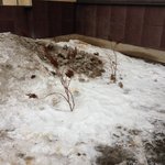 Файл 08.02.16, 10 14 25.jpeg