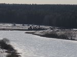 IMG_4380.jpg